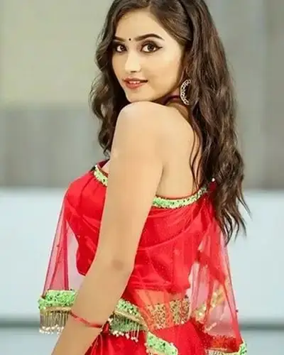 Call Girls Service Chaksu